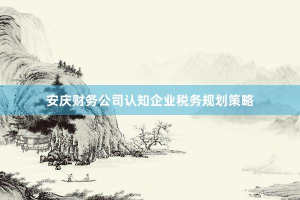 安庆财务公司认知企业税务规划策略