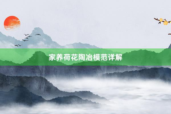 家养荷花陶冶模范详解